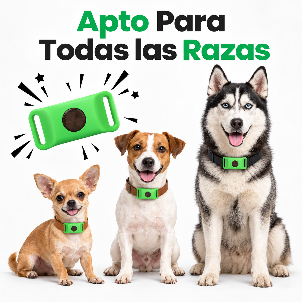 12 Meses de Protección Antipulgas y Garrapatas 100% Natural para Perros